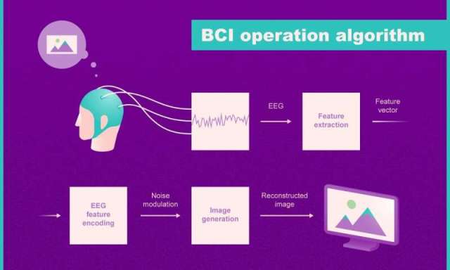 Algoritmo de operação do sistema interface cérebro-computador (BCI). Crédito: Anatoly Bobe / Neurobotics e @ tsarcyanide / MIPT