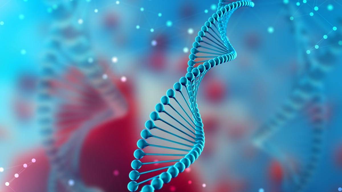 Cientistas ingleses criam primeiro ser vivo com DNA 100% sintético