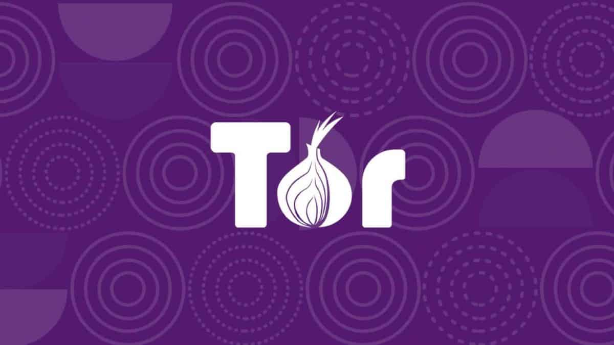 Pesquisador encontra falhas de segurança na rede Tor